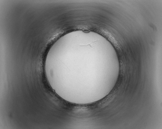 X0000116680354201001041153