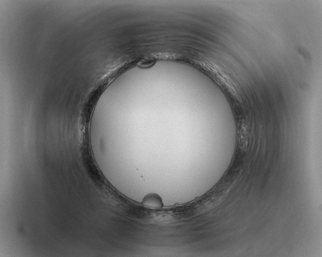 X0000116680355201001041153