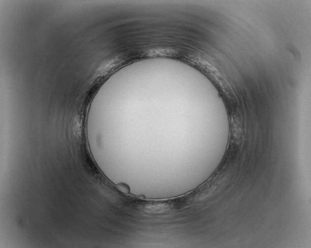 X0000116680357201001041153