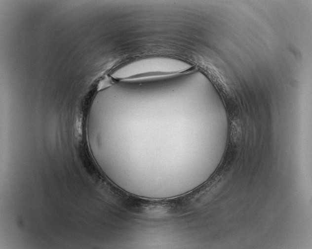 X0000116680358201001041153