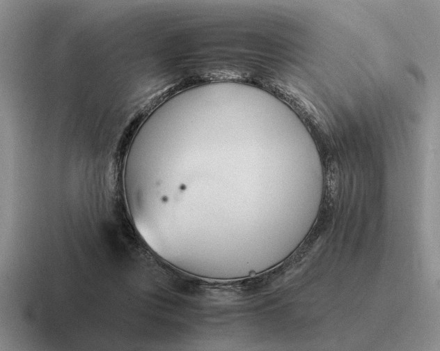 X0000116680359201001041153