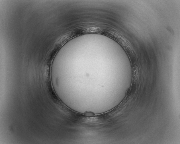 X0000116680361201001041153