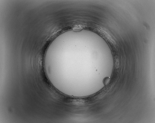 X0000116680363201001041153