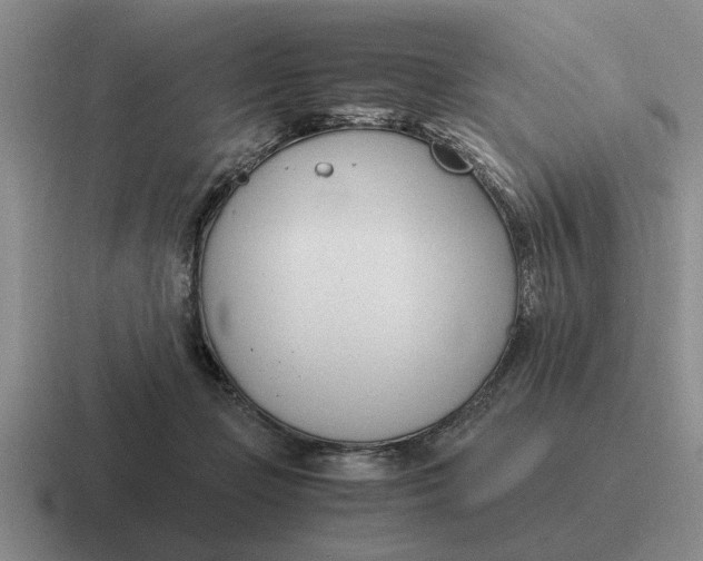 X0000116680365201001041153