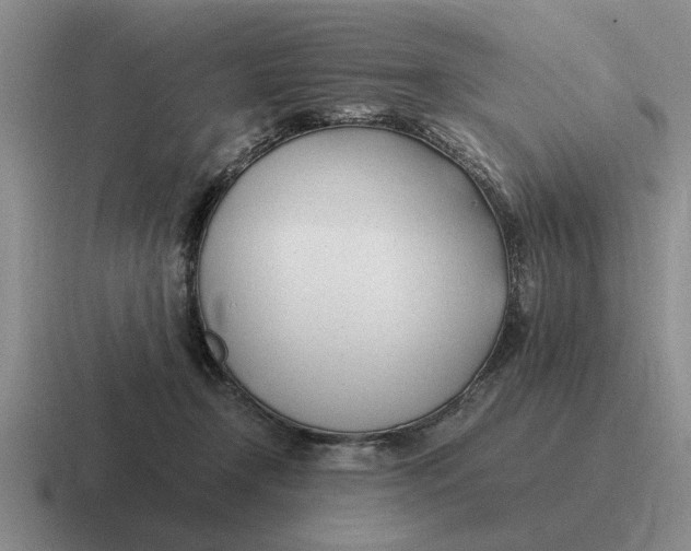 X0000116680366201001041153