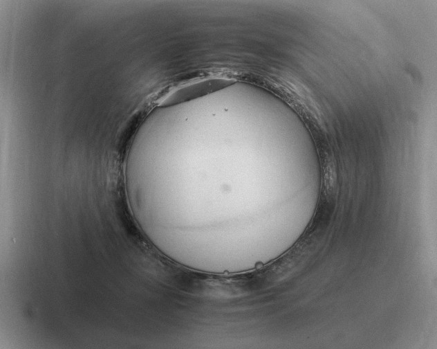 X0000116680367201001041153