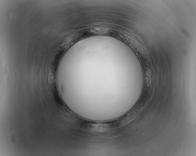 X0000116680371201001041153