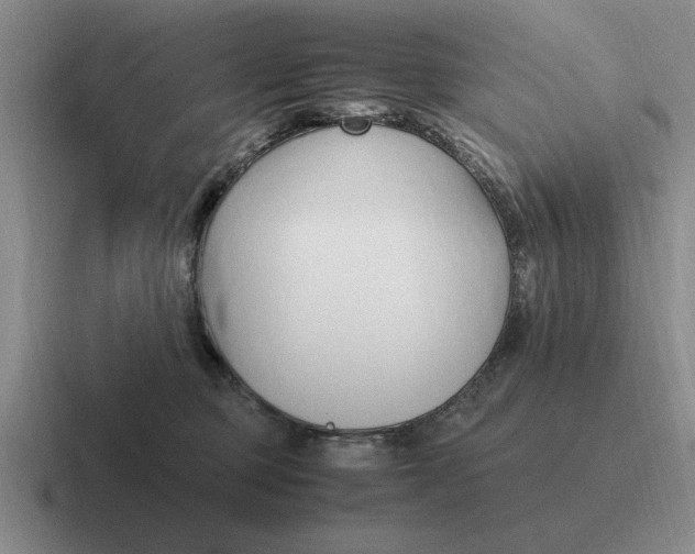 X0000116680373201001041153