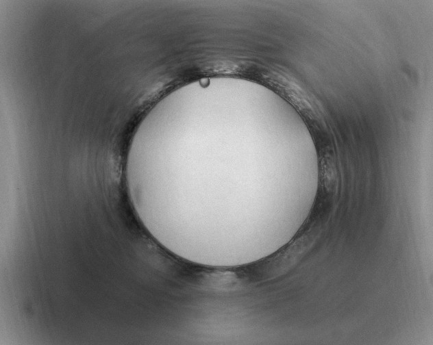 X0000116680374201001041153