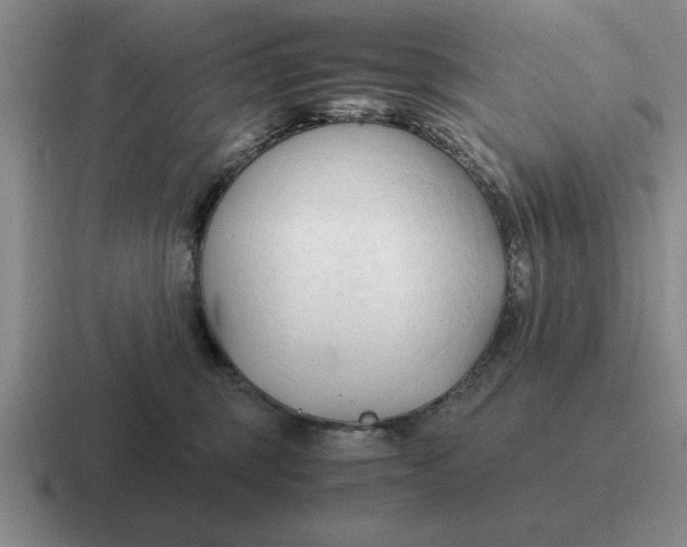 X0000116680375201001041153