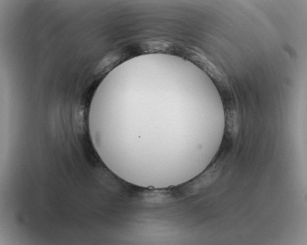 X0000116680378201001041153