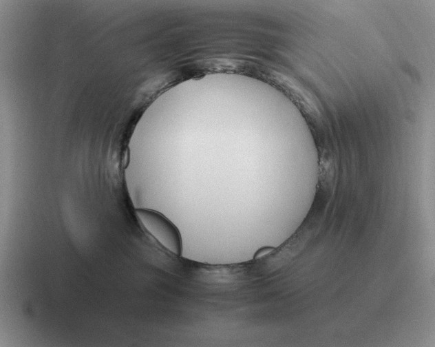 X0000116680381201001041153