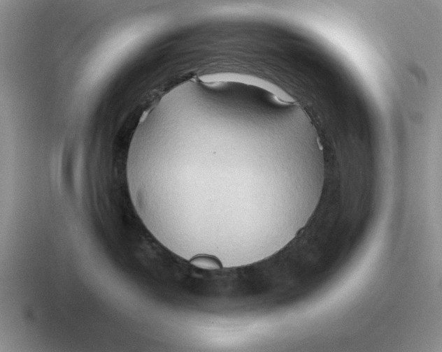 X0000116680382201001041153