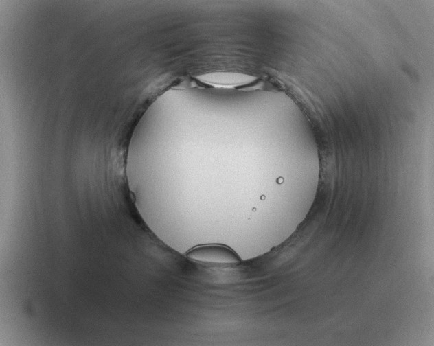 X0000116680383201001041153