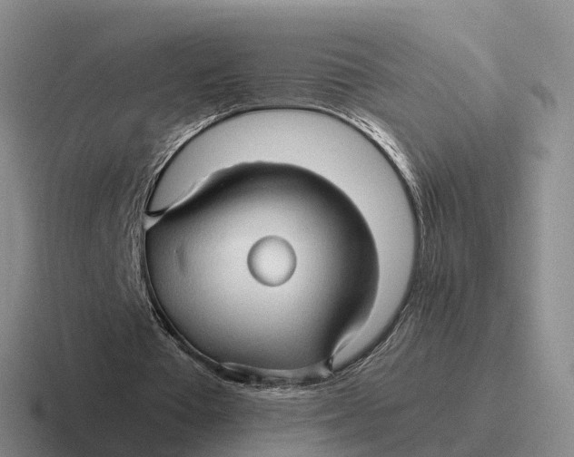 X0000116680385201001041153