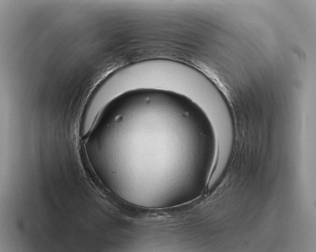 X0000116680386201001041153