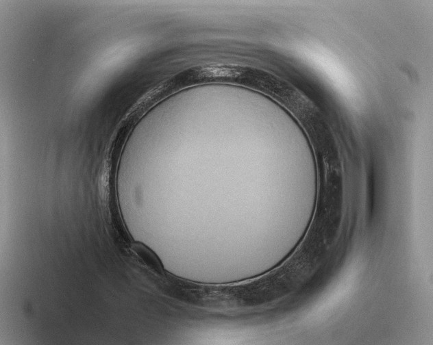 X0000116680387201001041153