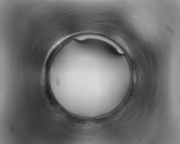 X0000116680388201001041153