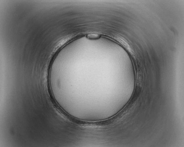 X0000116680389201001041153