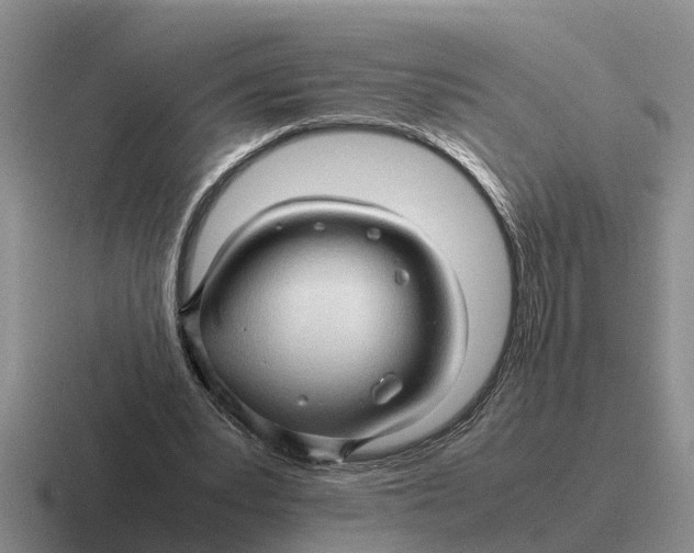 X0000116680391201001041153