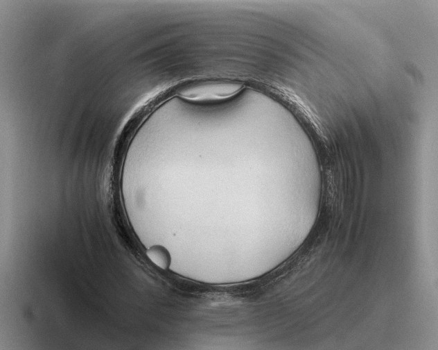 X0000116680392201001041153