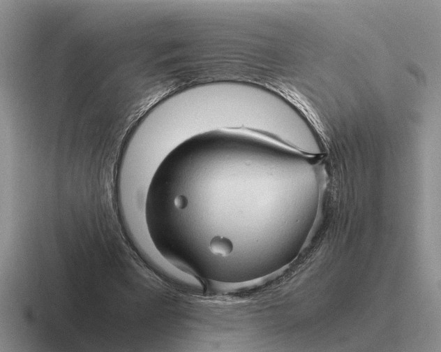 X0000116680393201001041153