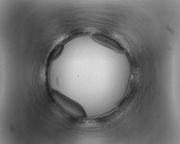 X0000116680395201001041153