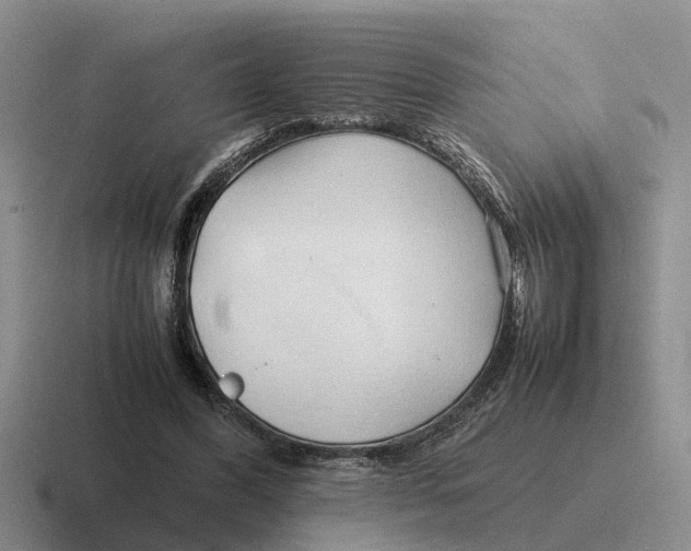 X0000116680396201001041153