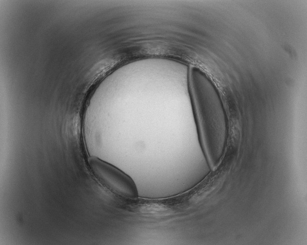 X0000116680397201001041153