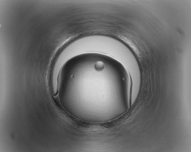 X0000116680399201001041153