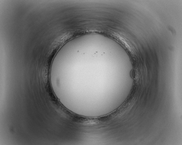 X0000116680402201001041153