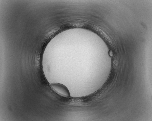 X0000116680403201001041153