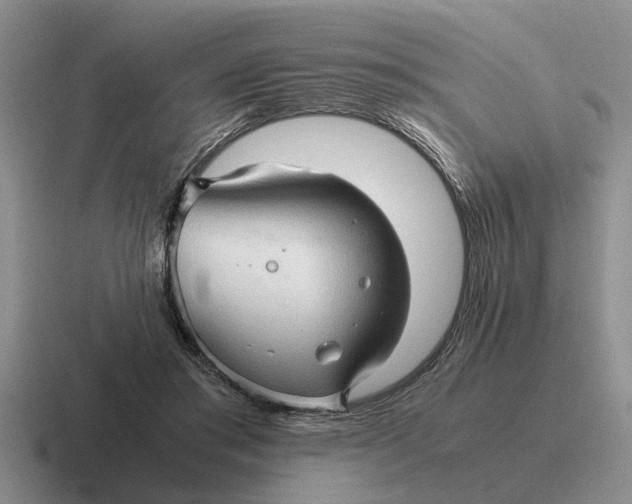 X0000116680405201001041153