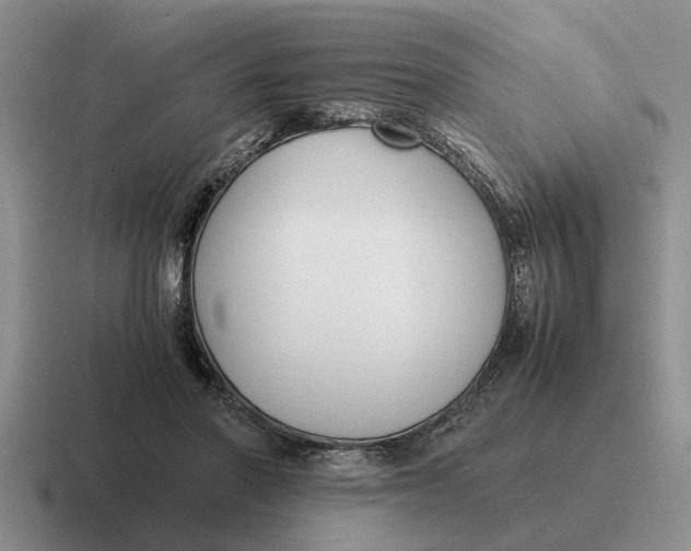 X0000116680406201001041153