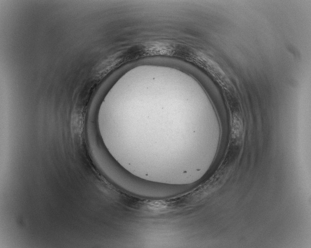 X0000116680409201001041152