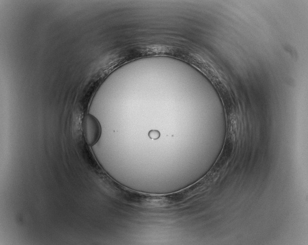 X0000116680410201001041152