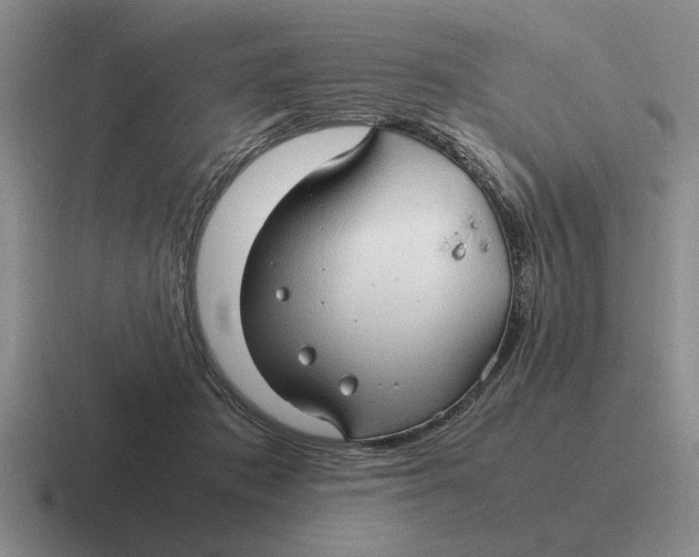 X0000116680413201001041152