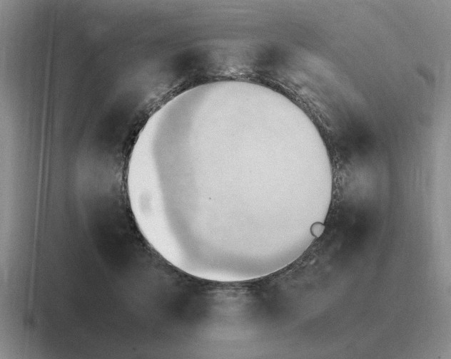 X0000116680415201001041152