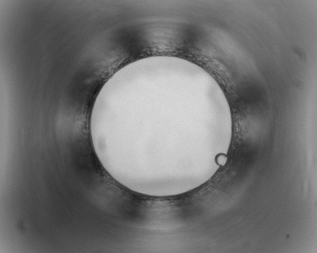 X0000116680419201001041152