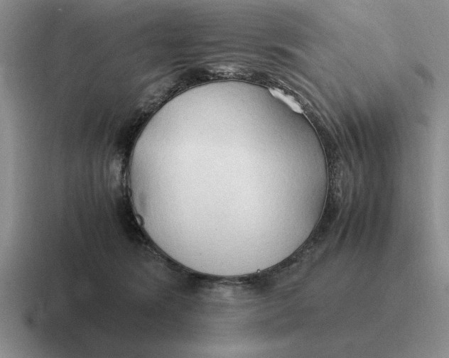 X0000116680420201001041152