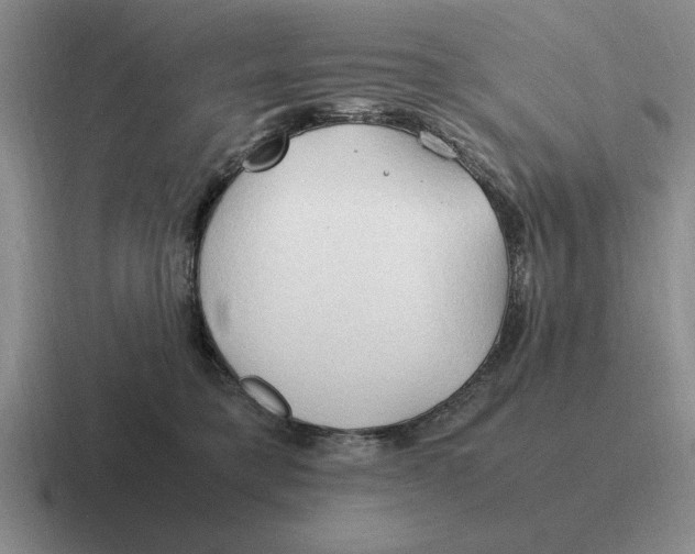 X0000116680421201001041152