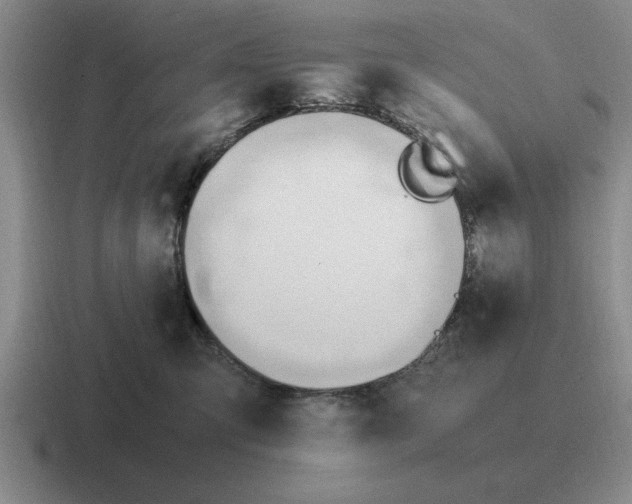 X0000116680423201001041152