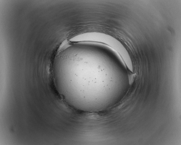 X0000116680424201001041152