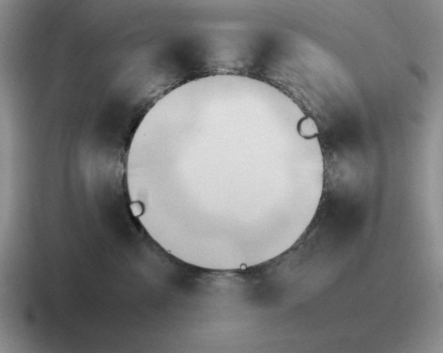 X0000116680427201001041152