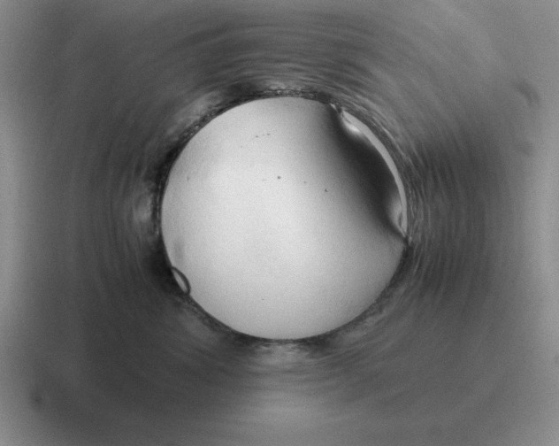 X0000116680428201001041152