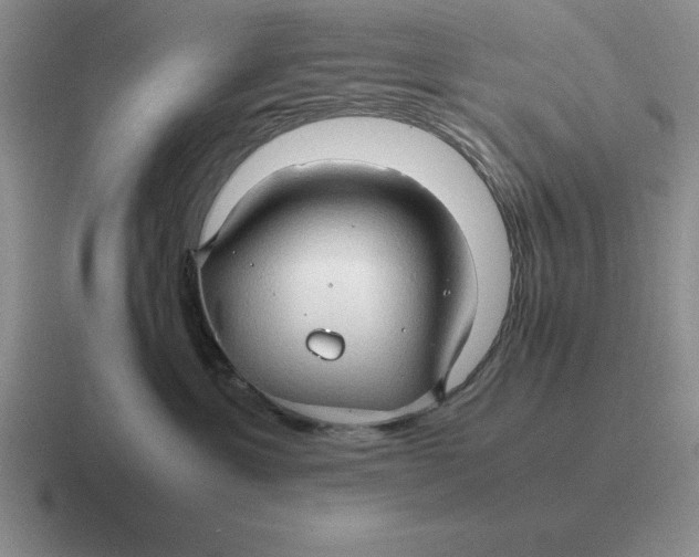 X0000116680429201001041152