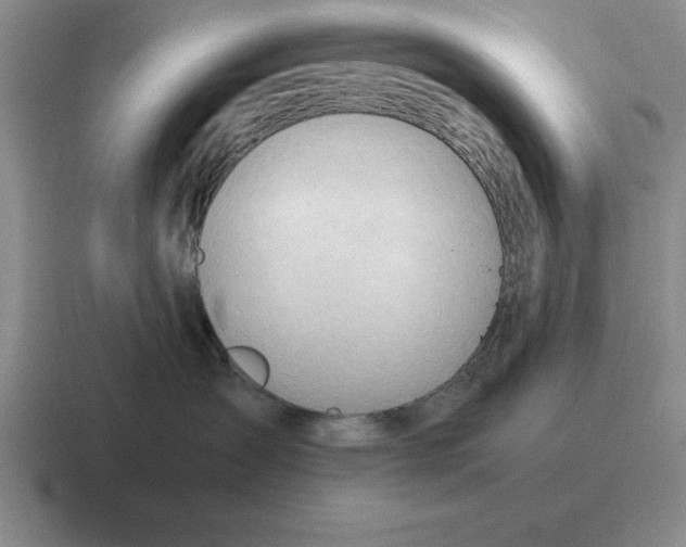 X0000116680431201001041152