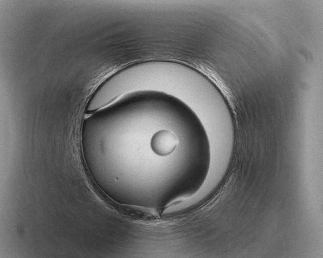 X0000116680433201001041152