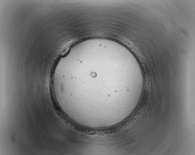 X0000116680434201001041152