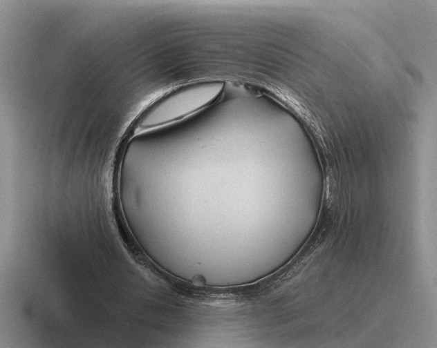 X0000116680438201001041152